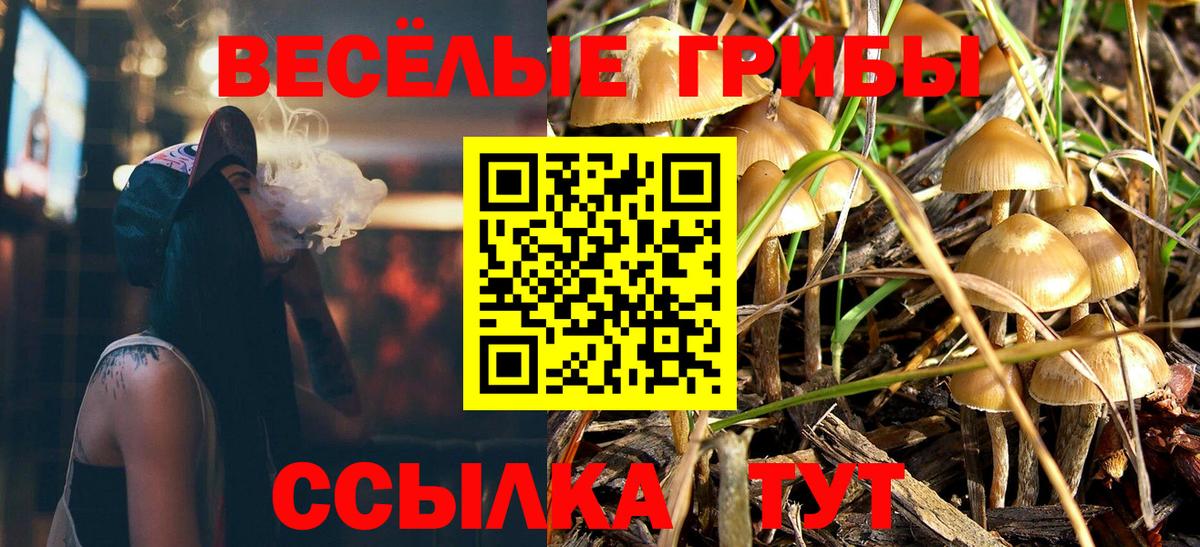 Галлюциногенные грибы Cubensis Каменск-Уральский
